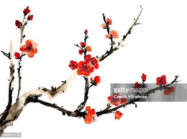 plum blossom - east asian culture stock illustrations
