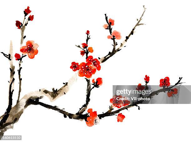 plum blossom - japan pattern stock illustrations