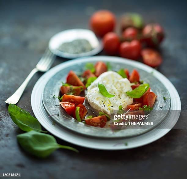 caprese - caprese imagens e fotografias de stock