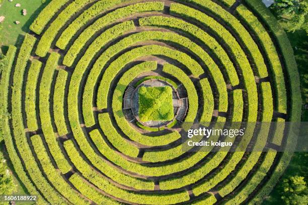 green maze and pavilion - labirinto imagens e fotografias de stock