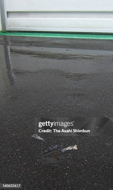 43 Sunagawa Hokkaido Stock Photos, HighRes Pictures, and Images