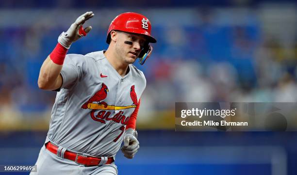 Andrew Knizner of the St. Louis Cardinals celebrates a two run home run in the fourth inning during a game against the Tampa Bay Rays at Tropicana...