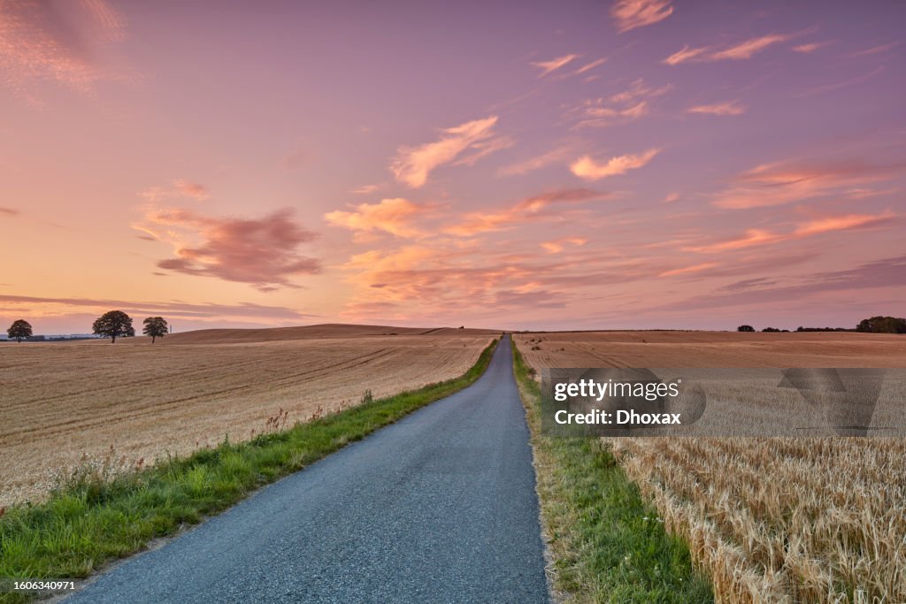 Countryside in harvest