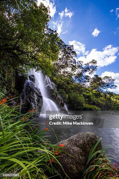 owharoa waterfall - owharoa falls stockfoto's en -beelden