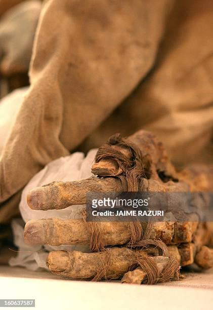 The hand of a mummy belonging to the Wari culture is seen during studies at the archaeological laboratories of Waca Pucllana, in Lima 20 October,...