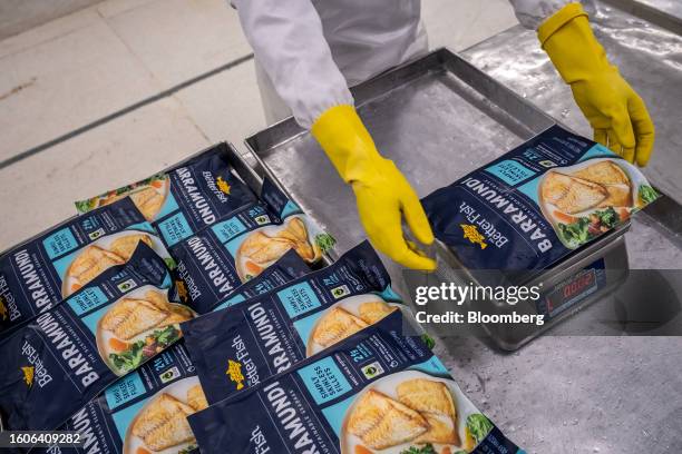 An Australis Aquaculture LLC employee weighs a pack of barramundi fish fillets at a company's processing center in Khanh Hoa Province, Vietnam, on...