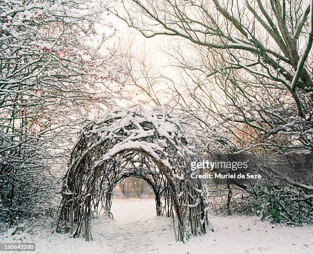 willow hut in snowy landscape - land art stock-fotos und bilder