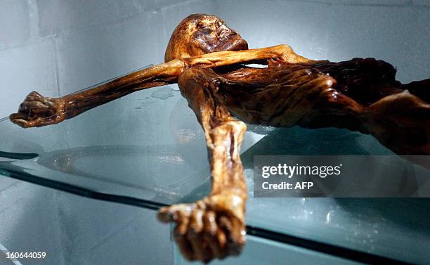The mummy of an iceman named Otzi, discovered on 1991 in the Italian Schnal Valley glacier, is displayed at the Archaeological Museum of Bolzano on...