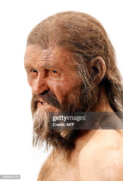 Statue representing an iceman named Oetzi, discovered on 1991 in the Italian Schnal Valley glacier, is displayed at the Archaeological Museu of...