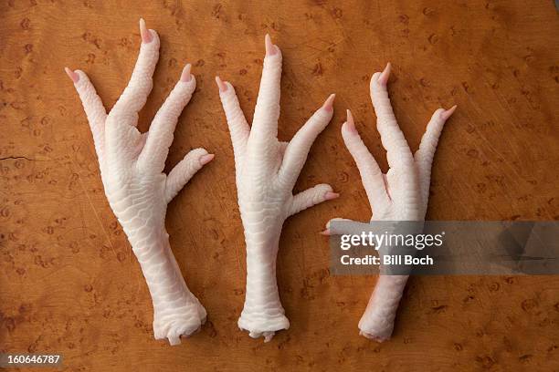 raw chicken feet on a cutting board - images of ugly feet stock pictures, royalty-free photos & images