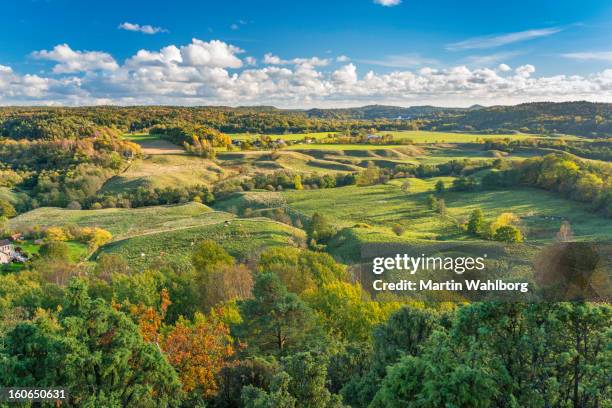 paisaje sueca - condado de västra götaland fotografías e imágenes de stock