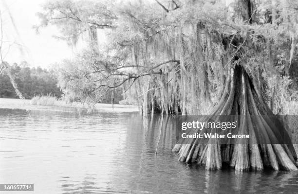 Travel Along The Mississippi. Etats Unis Parcours le long du fleuve Mississippi, de Yellowstone au Golfe du Mexique en passant par les Rocheuses. Ici...