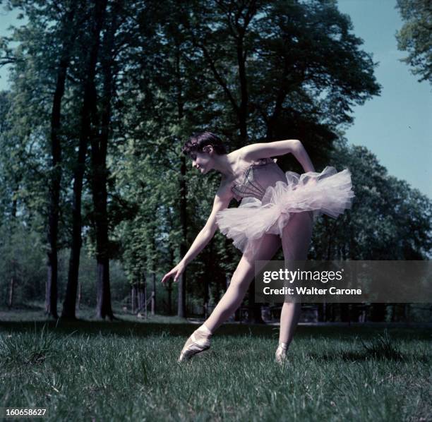 Close-up Of Violette Verdy. Dans un parc, lors d'une séance de portraits, la danseuse Violette VERDY en tutu, penchée dans l'herbe.