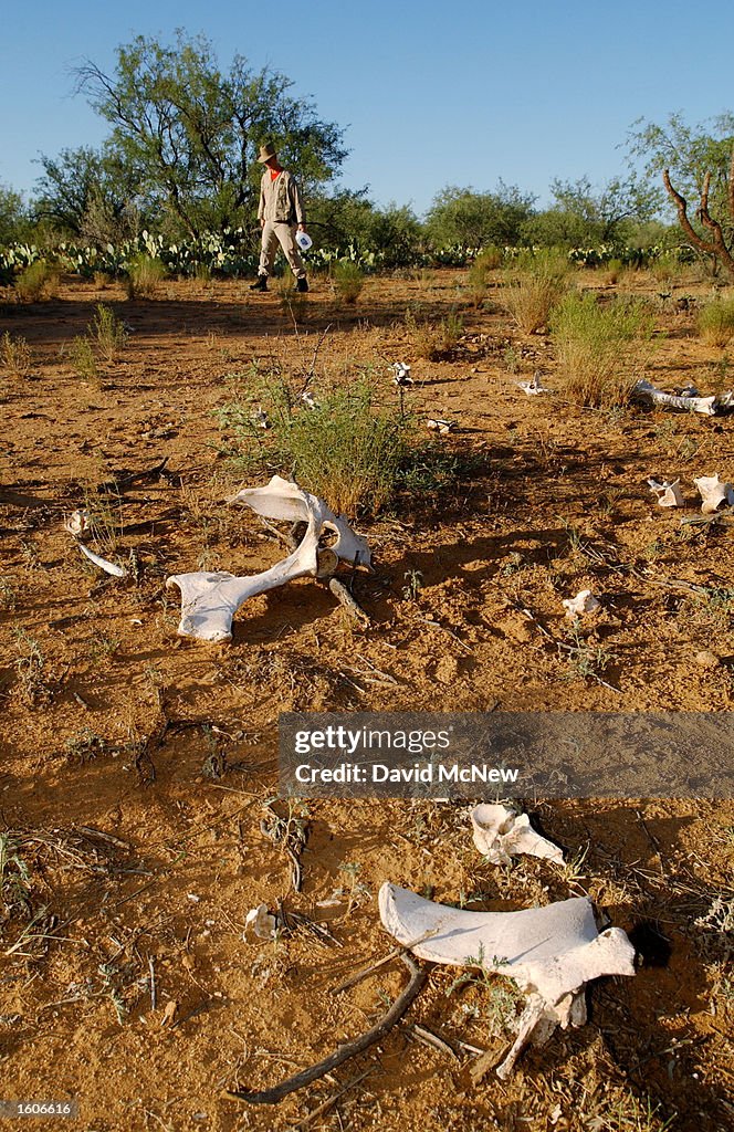 Border Patrol BORSTAR Team Searches for Dying Illegal Immigrants