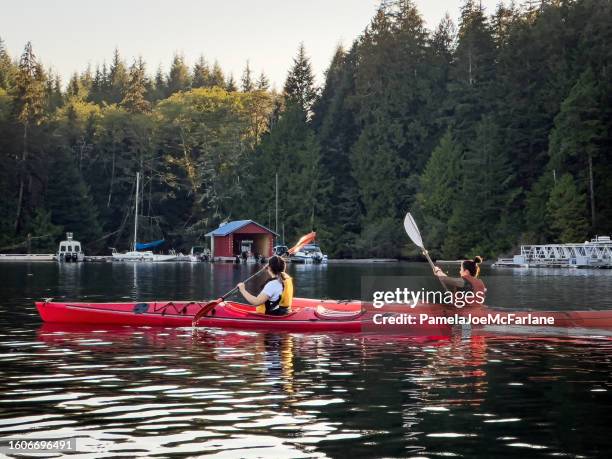 multiracial sisters kayaking at sunset along secluded forested coastline - family red canoe stock pictures, royalty-free photos & images