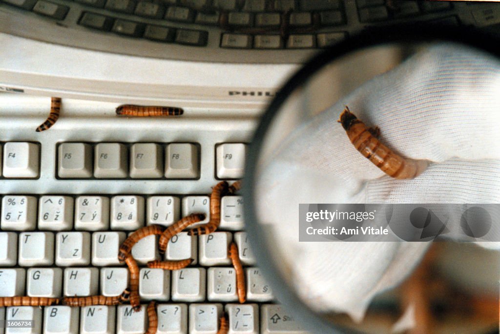 The Code Red worm continued its attack on the Internet August 3, 2001 ...