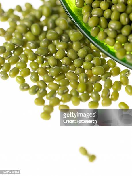 mung beans - mung bean stock pictures, royalty-free photos & images