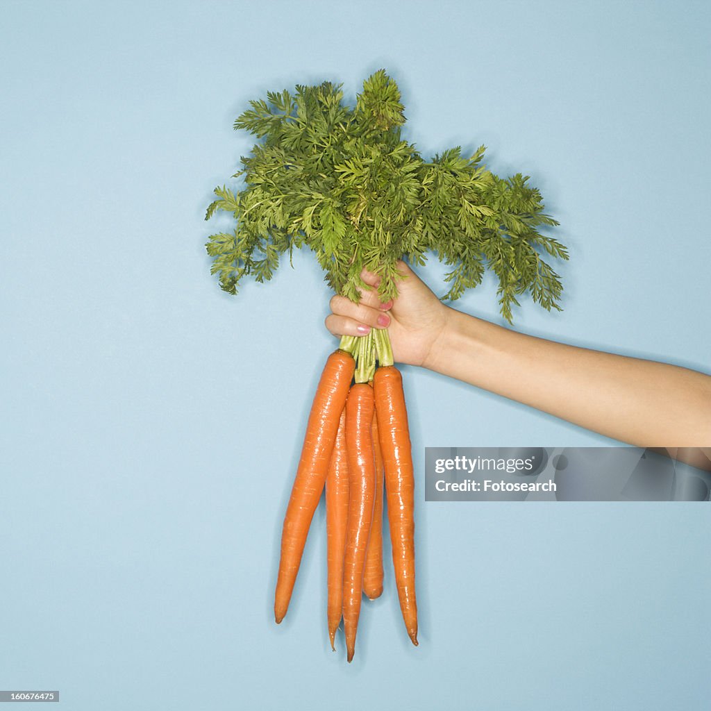 Woman arm holding out fresh bunch of carrots against blue background