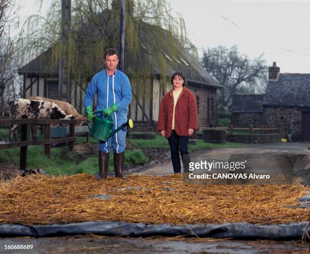Epizootic Of Foot And Mouth Disease In France. Dans la Mayenne et L'Orne, le 15 mars 2001, des familles d'agriculteurs dont les troupeaux de bétails...