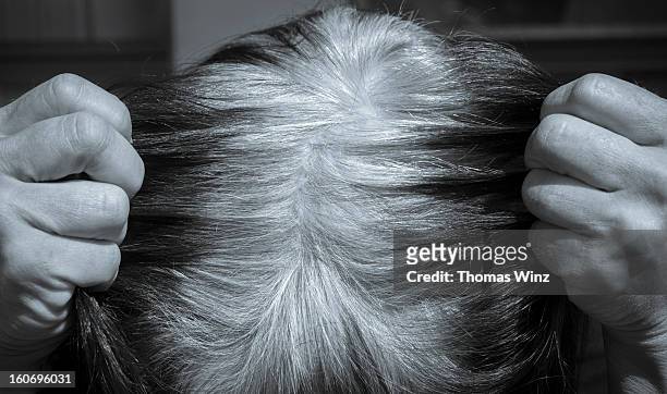 woman showing her gray hair - pulling hair stock pictures, royalty-free photos & images