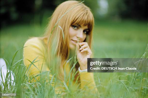 Rendezvous With Marie-france Pisier. Paris - 23 août 1967 - Portrait de l'actrice Marie-France PISIER assise dans un pré, vêtue d'un pull jaune,...