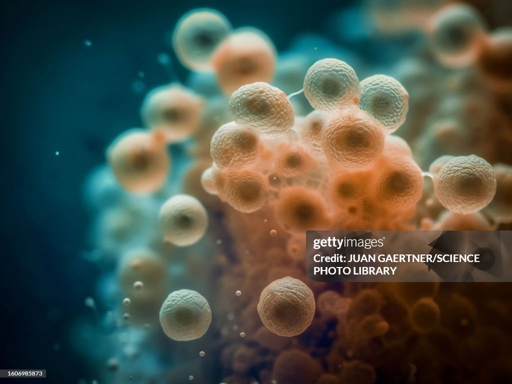 Organic structures, abstract illustration