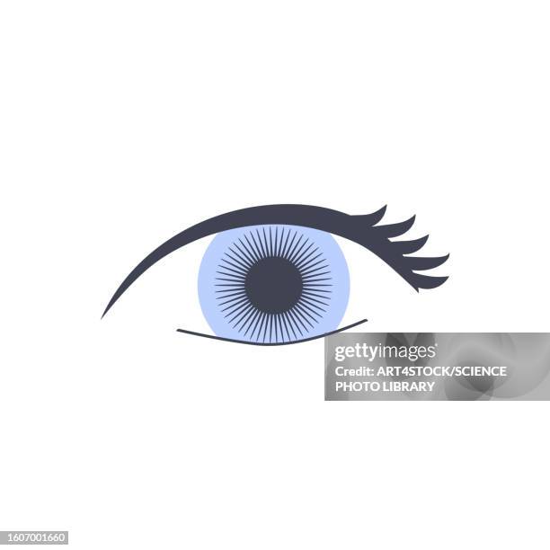 blue eye, illustration - eyebrow styling stock illustrations