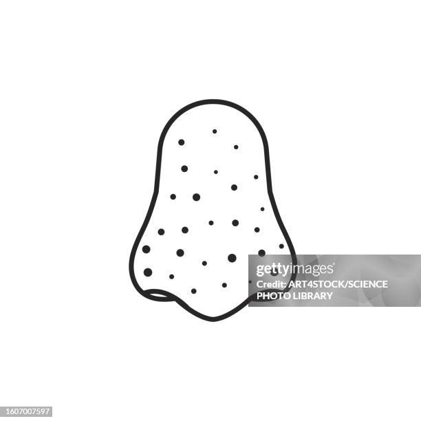 blackheads on nose, illustration - blackhead stock-grafiken, -clipart, -cartoons und -symbole