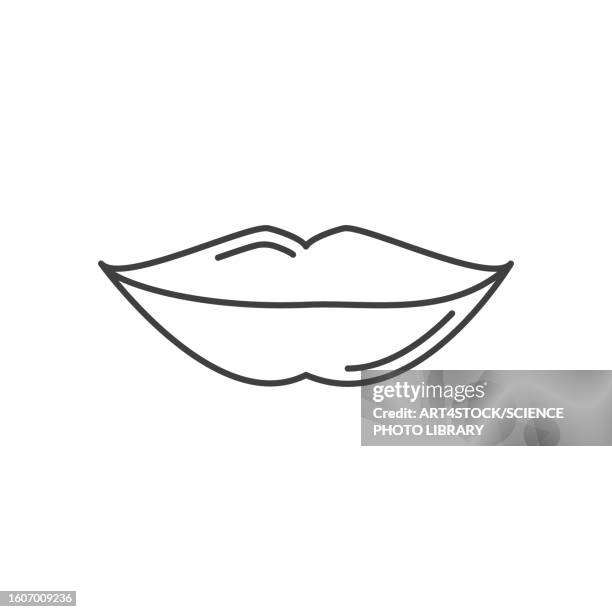 lips, illustration - cosmetics stock illustrations