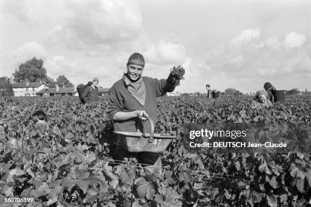 Margaux Hemingway Godmother Of 1980 Vintage Chateau Margaux. Le 20 octobre 1980 en France, invitée d'honneur du club de la presse de Bordeaux à la...