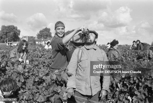 Margaux Hemingway Godmother Of 1980 Vintage Chateau Margaux. Le 20 octobre 1980 en France, invitée d'honneur du club de la presse de Bordeaux à la...