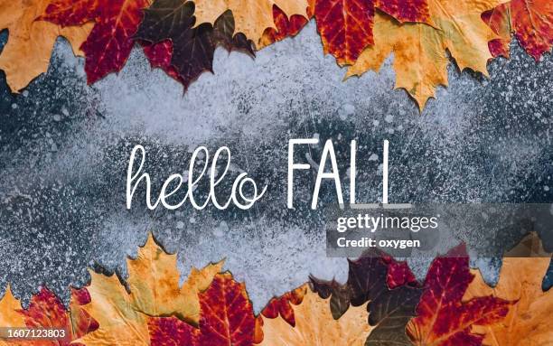 hello fall banner. autumn maple leaves natural on gray surface table with splashes background with copy space. autumn leaf background. typography design. the lettering abstract text - hello october stock pictures, royalty-free photos & images