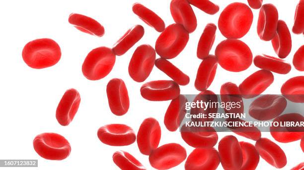 red blood cells, illustration - rotes blutkörperchen stock-grafiken, -clipart, -cartoons und -symbole