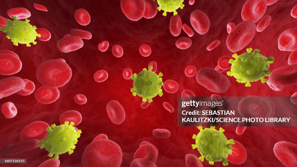 Virus within blood stream, illustration