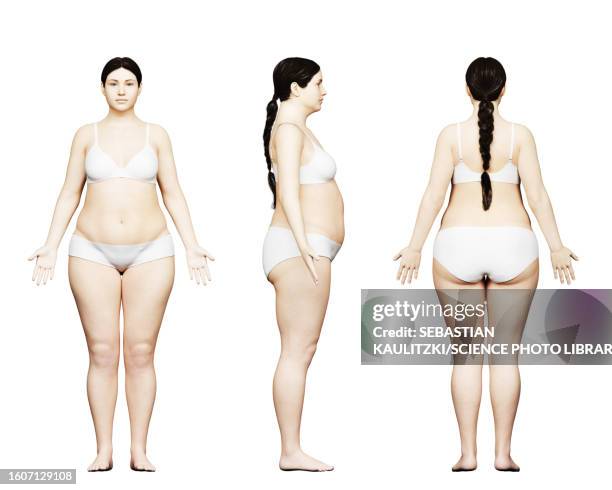 overweight female body, illustration - building activity stock illustrations