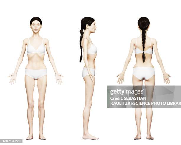 underweight female body, illustration - anorexia stock-grafiken, -clipart, -cartoons und -symbole