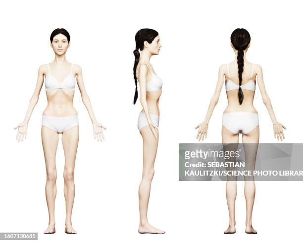 underweight female body, illustration - anorexia stock illustrations