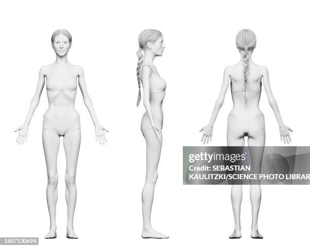 underweight female body, illustration - woman white background full body drawing stock illustrations