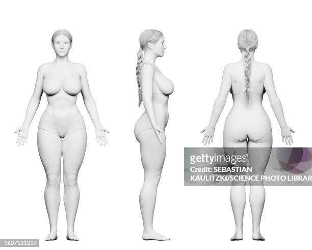 curvy female body, illustration - building activity stock illustrations