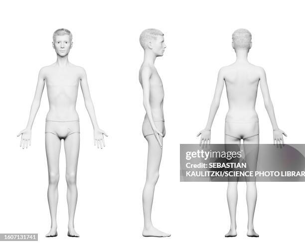 underweight male body, illustration - anorexia stock illustrations