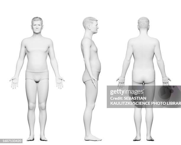 elderly male body, illustration - building activity stock illustrations