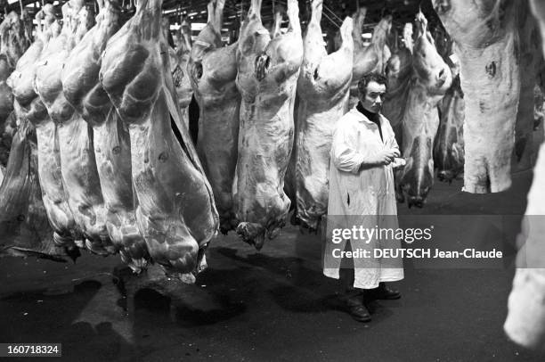 The Halls Of Rungis The Meat Market. Val-de-Marne, Rungis- 21 Avril 1975- Reportage sur les Halles de Rungis et son marché de la viande: un boucher...