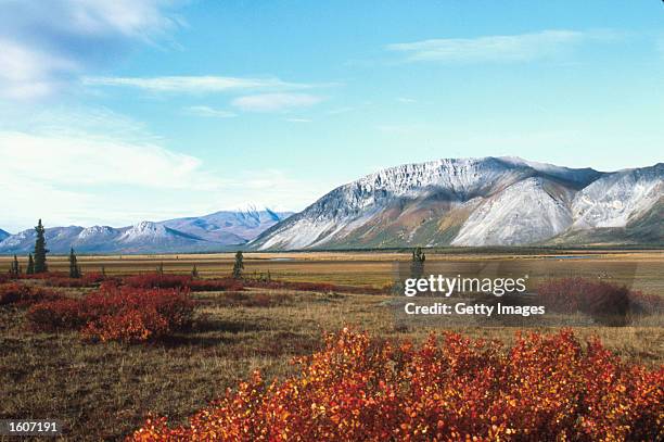 This undated photo shows the Arctic National Wildlife Refuge in Alaska. The Bush administration''s controversial plan to open the refuge to oil...