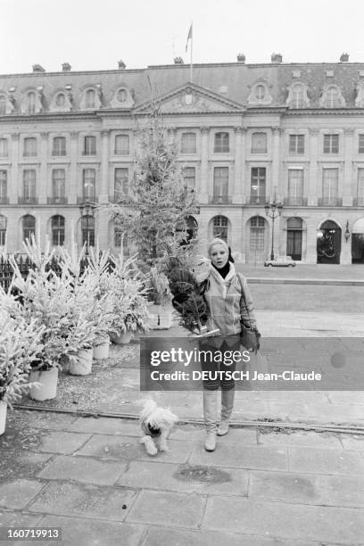 Sylvie Vartan Prepares Christmas. Paris - 22 décembre 1979 - Place de la Madeleine, portrait de la chanteuse Sylvie VARTAN faisant des achats pour la...