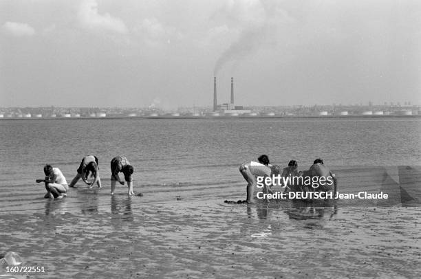 Beaches Of France. En France, la pollution du littoral due au rejet des eaux usées des villes et des industries chimiques dans la mer et à...