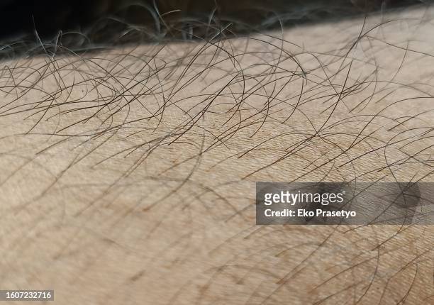 close up of human leg hair - behaart stock-fotos und bilder