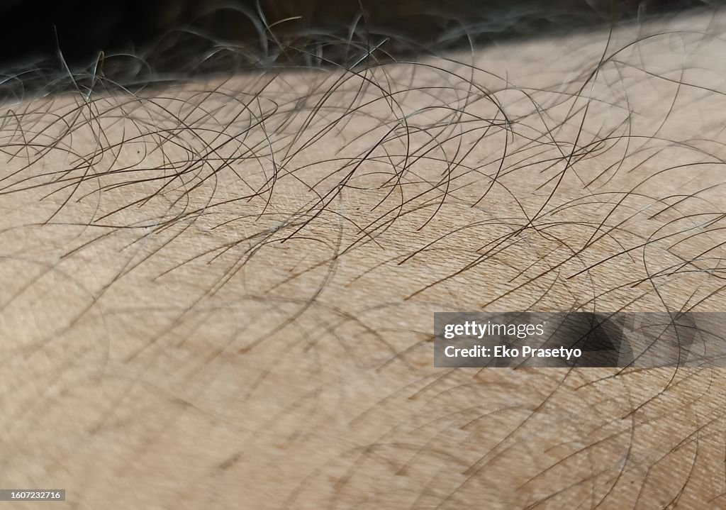 Close up of human leg hair