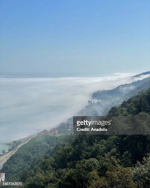 An aerial view of fog blankets over a beach and sea during foggy weather in Abana district of Kastamonu, Turkiye on August 18, 2023. The fog called...