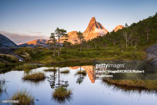 norway's national mountain stetind reflected in small lake, tysfjord, ofoten, norway - stetind stock pictures, royalty-free photos & images