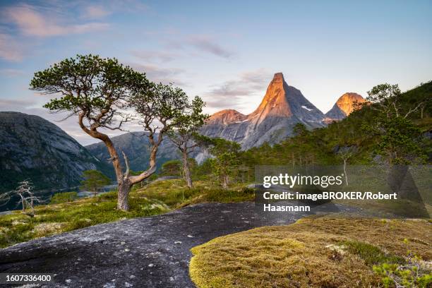 norway's national mountain stetind, tysfjord, ofoten, norway - stetind stock pictures, royalty-free photos & images